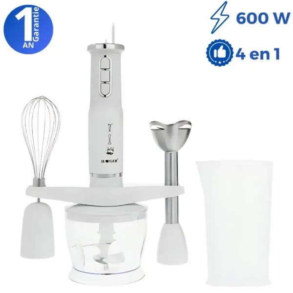 HG 291 W mixeur. Livraison au Maroc.