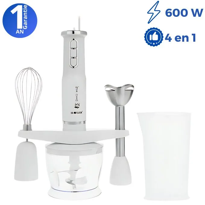 HG 291 W mixeur. Livraison au Maroc.