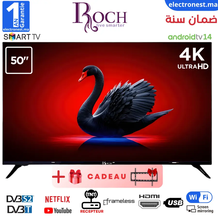 Roch- RH-LE50DSV-C- Maroc