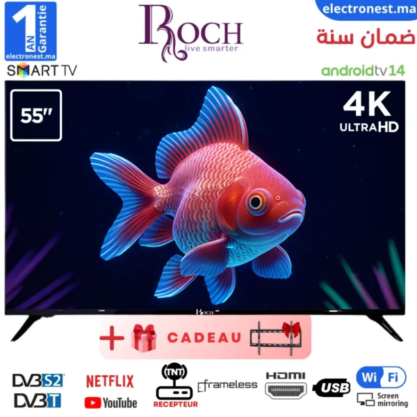 Roch- RH-LE55DSV-C- Maroc