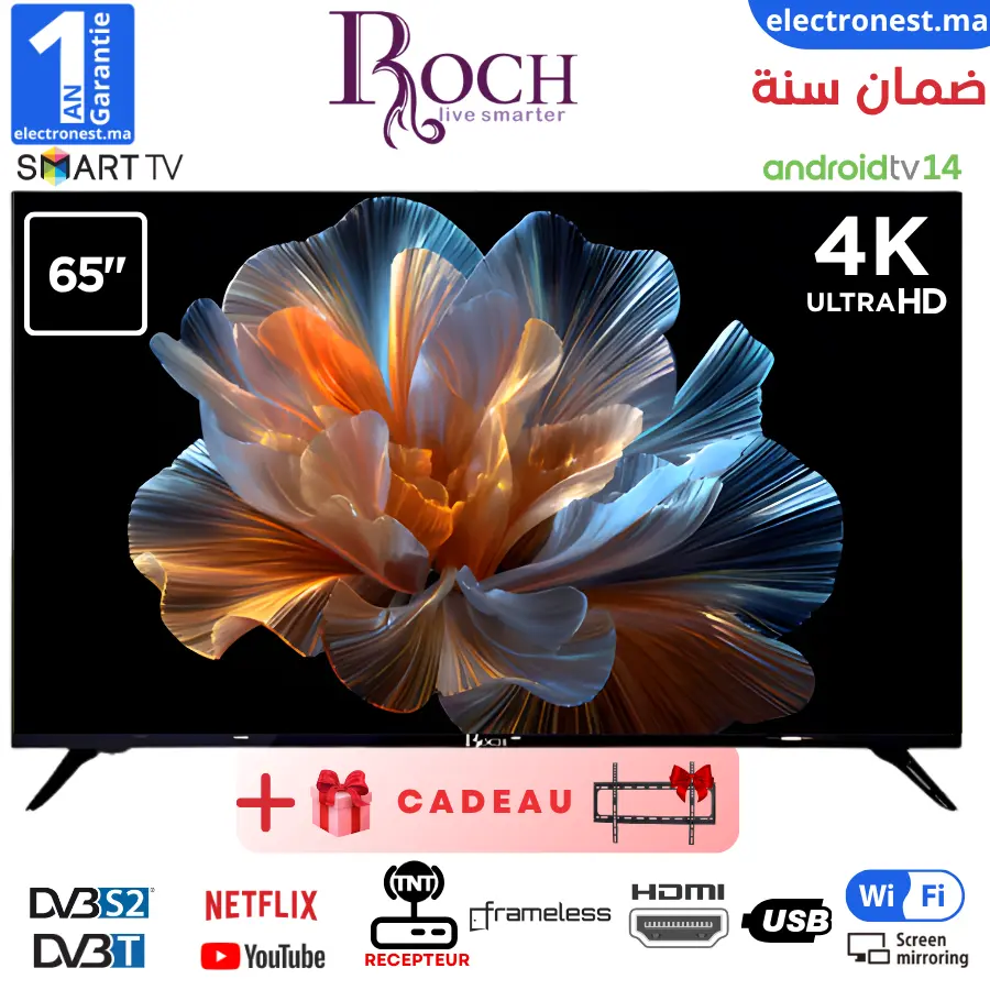 Roch- RH-LE65DSV-C- Maroc